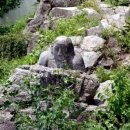 정라동사무소 이미지