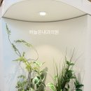 하늘내과의원 이미지