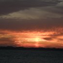 석희농장 이미지