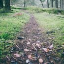 영화로 전하는 음악이야기 이미지