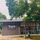 Connection | 드 푸켓(Porto de Phuket) 맛집 추천 : Robbi | Wine Connection 솔직 후기 (ft. 반얀트리 셔틀 노선)