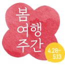 2018년 5월 축제. 행사 50곳 이미지