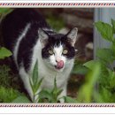 인의농장 이미지