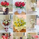 수피아플라워 이미지