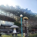 영월식당 이미지