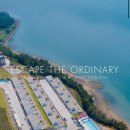 비고리조트 6 이미지