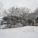 서림농원 이미지