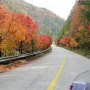 내리계곡로 이미지