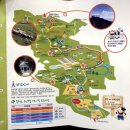 수근목장 | 대관령 삼양목장_코로나도 폭우도 막을 수 없었던 강원도 여름휴가 후기 1탄