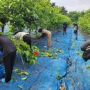 고창군농업기술센터 이미지