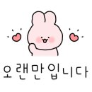 오프독 반려견 종합교육문화센터 이미지