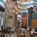 클로리스 이미지