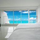 제주 스탠다드 이미지