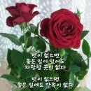 6월의 향기/ 6월 2일 톡톡수다방 끝말잇기 이미지