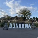 가정원 | [제주여행] 제주 구좌카페 스타벅스 더제주송당파크R점