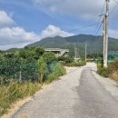 원주굽이길 18코스 반계리은행나무길 이미지