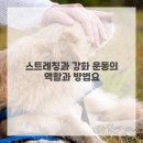 가족과 함께하는 생활건강체조 이미지
