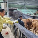 진두축산 이미지