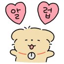 목동바른안경 네이버블로그