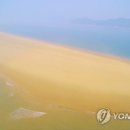 대이작_해양생태관 이미지