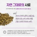 나우프레쉬 시니어 급여 후기