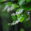 소향공원 이미지