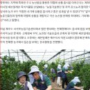 (주)코리아세븐 역촌행운점 | 코리아세븐 직원들의 농사 일손돕기