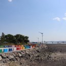 도그프리덤 이미지