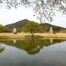 (주)탑건축사사무소 | 탑의 눈물 : 익산 미륵사지 2025.11