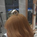 신대학길 이미지