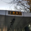 강남 압구정동 (진양상가 인근) 65평형 11동 압구정현대아파트 전세 임대 관련 디스코드 서버 안내 (20230118) 이미지