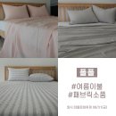 시엘쏘잉