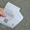 강아지랑 | 남이섬 애견동반 가을·겨울 비교 후기, 강아지랑 산책 솔직 정리