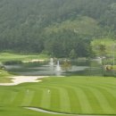 그린필드 이미지