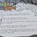 실미해수욕장-해변 이미지