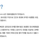 이엠존
