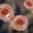 세종한방병원 이미지