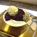 킹콩하우스 애견카페 이미지