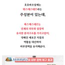 레이저 | 편평사마귀 레이저 후기 치료 실비 가능여부 까지