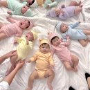 핑크코끼리울산삼산점