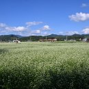 (주)효석 티스토리