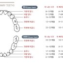 서울아이치과 이미지