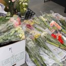 스튜디오알(주) | [W.13] 3월 인천 원규스튜디오 웨딩촬영 후기(with.푸릇메이크업🌿)