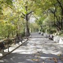 맥아더통상 이미지