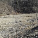 소태면사무소 이미지