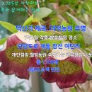 웰빙쉼터 이미지