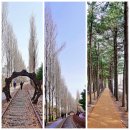 경춘선숲길 이미지