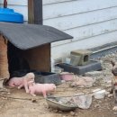 갯마을민박 이미지