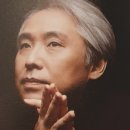 파비올라