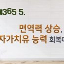 올리고365 이미지